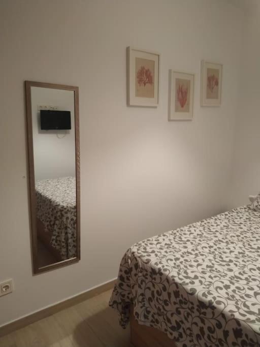 Se Alquila Habitacion Muy Luminosa Con Bano Privado En Apartamento Compartido リンコン・デ・ラ・ビクトリア エクステリア 写真